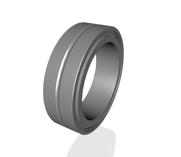 CAD image for INA SL185018-A full complement cylindrical roller bearing