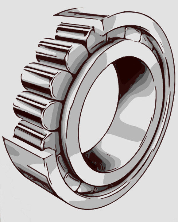 Schaeffler INA SL192309-C3 Full Complement Cylindrical Roller Bearing CAD