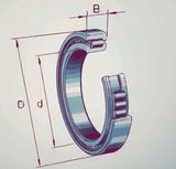 Schaeffler INA SL183012-A-C3 Full Complement Cylindrical Roller Bearing Sketch